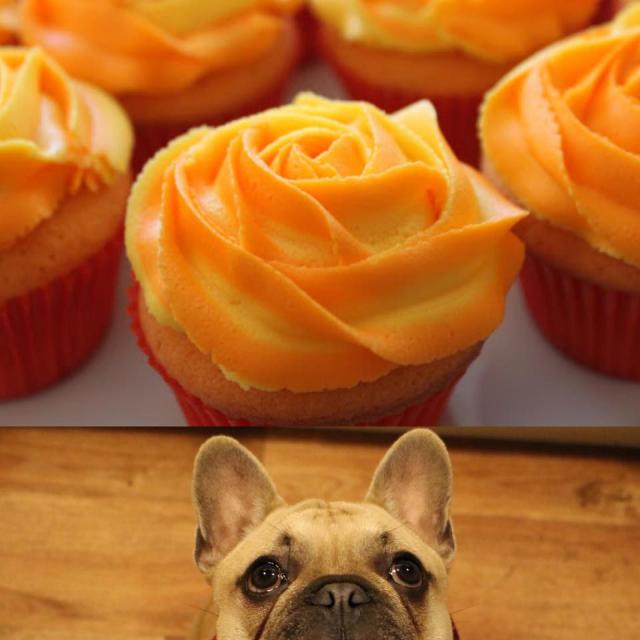 Please come and support our fundraising coffee morning at Angarrack Community Hall ..this Friday 18th December at 10am... Raffle ... Cards ...and Cupcakes .. proceeds to Meningitis Now Please come and support our fundraising coffee morning at Angarrack Community Hall ..this Friday 18th December at 10am... Raffle ... Cards ...and Cupcakes .. proceeds to Meningitis Now